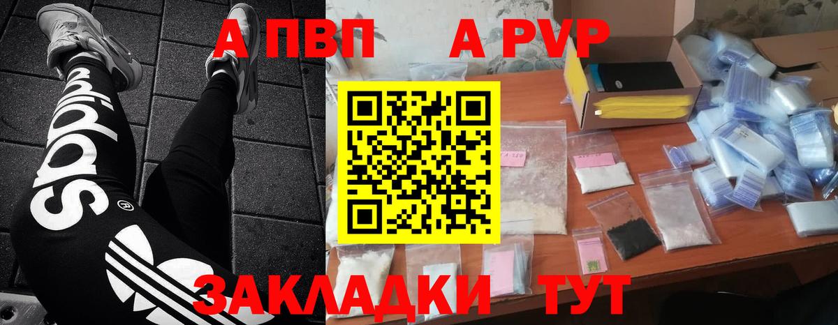A-PVP СК КРИС Алейск