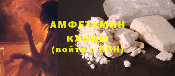 гидра Абаза