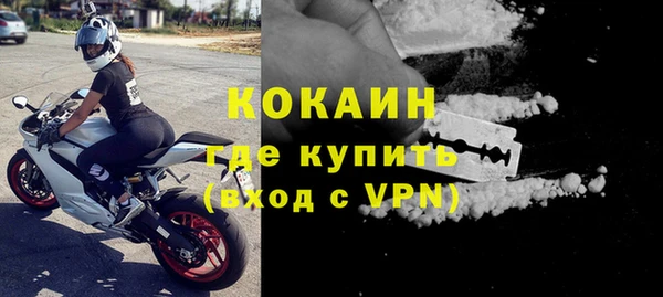 гидра Абаза