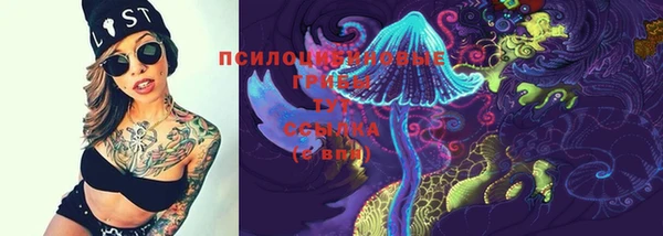 гидра Абаза