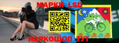сатива Ставрополь