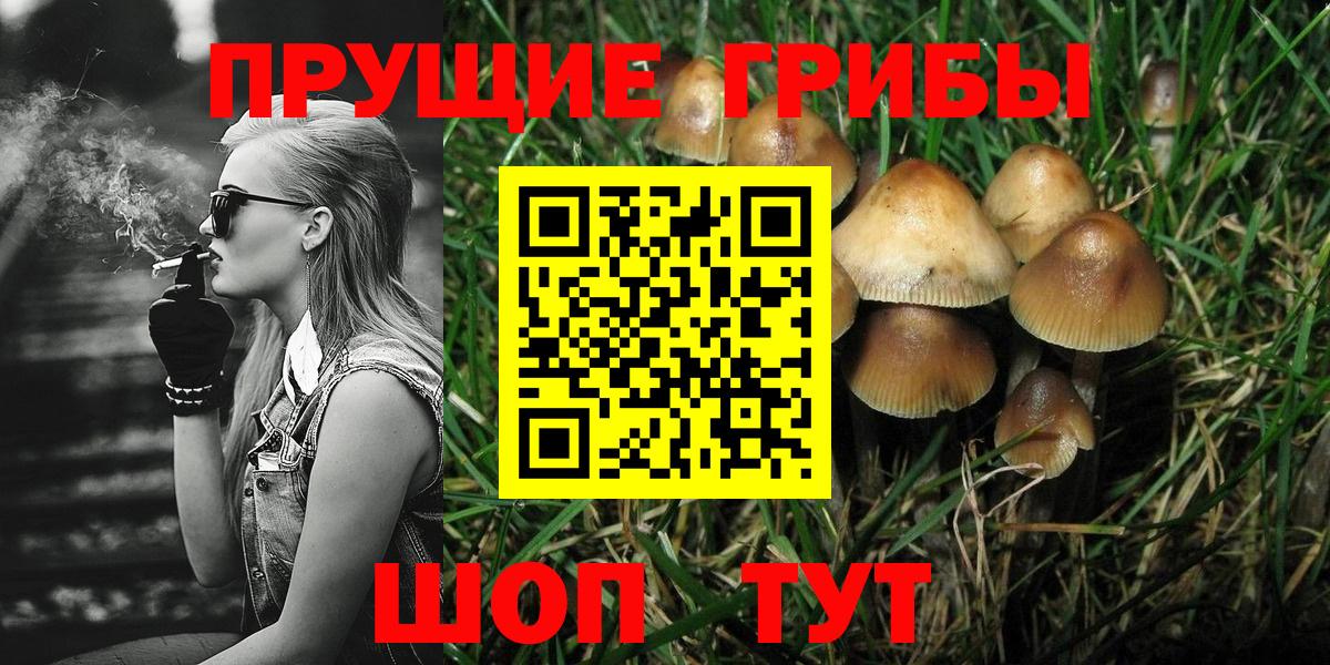 где можно купить   Вход с VPN  Алейск  Псилоцибиновые грибы MAGIC MUSHROOMS 